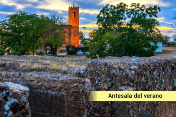 Agenda de Alcalá Junio 2024