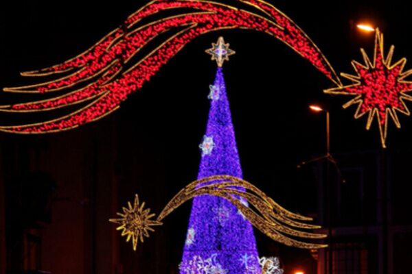 Agenda de Alcalá diciembre 2024