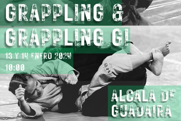 Campeonato de Andalucía de Grappling