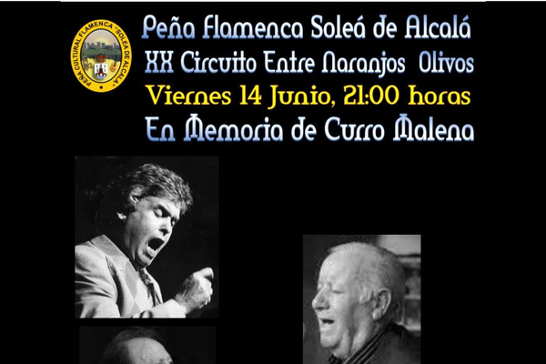 XX Circuito Entre Naranjos Olivos