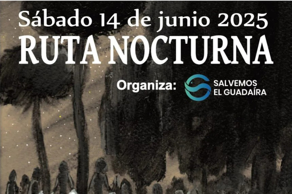 Ruta nocturna para ver las estrellas