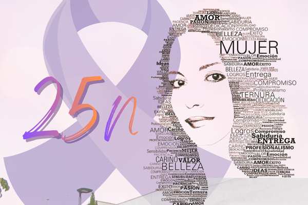 Actividades conmemorativas del 25 N