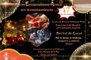 Convivencia de Navidad para mayores