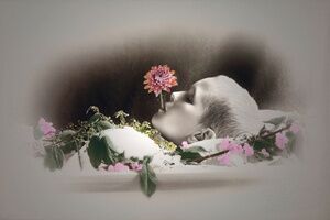 Exposición fotográfica