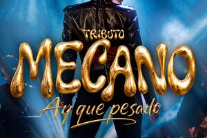 Tributo a Mecano