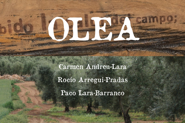 Exposición OLEA en el Museo de la ciudad