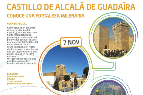 Visita guiada al Castillo de Alcalá