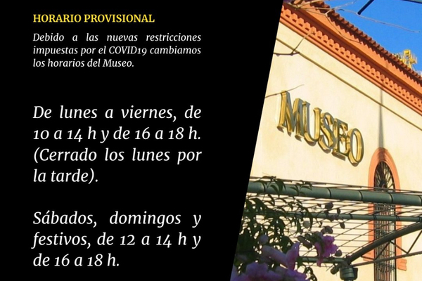 Horario provisional del Museo de Alcalá