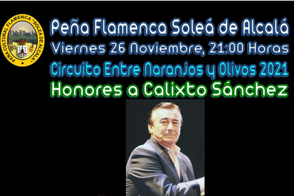 Recital flamenco en la Peña La Soleá el 26 de noviembre