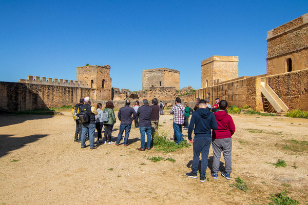 Visita guiada al Castillo de Alcalá