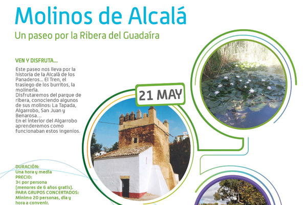 Visita guiada a los Molinos de Alcalá