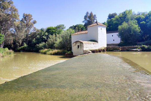 Visita guiada a la Ribera del Guadaíra