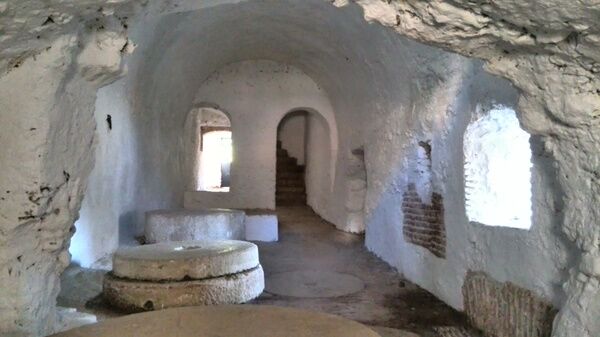 Visita guiada a la Ribera del Guadaíra