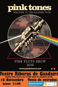 El Auditorio recibe en noviembre a Pink Tones con `Pink Floyd Show´
