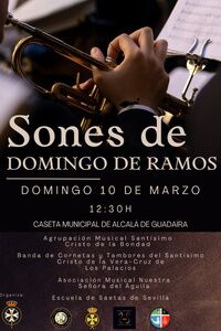 Sones de Domingo de Ramos