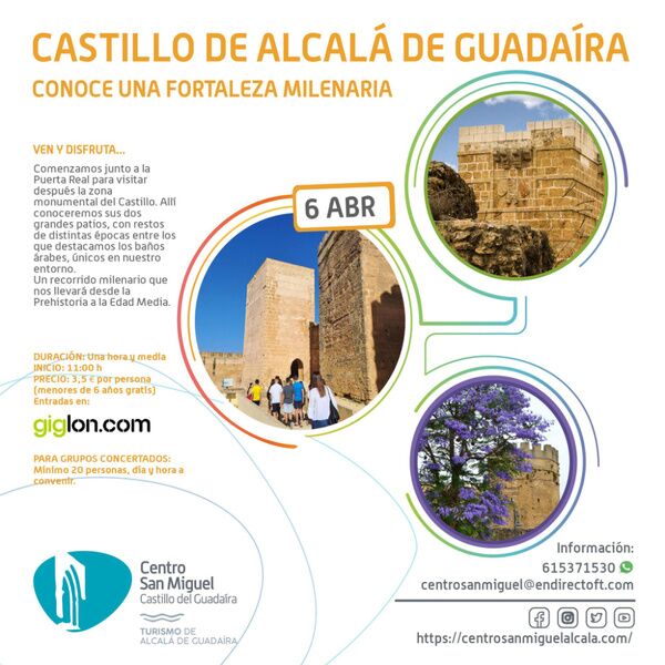 Visita guiada al Castillo