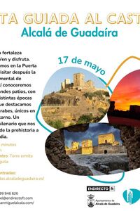 Visitas guiadas al Castillo