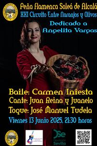 Noche flamenca en la Peña la Soleá de Alcalá