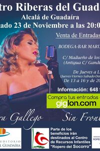 Laura Gallego en concierto este noviembre en el Auditorio