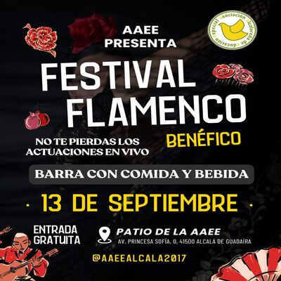 Festival flamenco en la AAEE