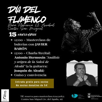 Día del Flamenco en San Miguel