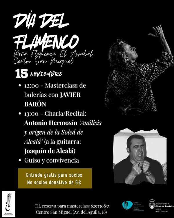 Día del Flamenco en San Miguel