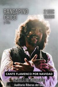 Cante Flamenco por Navidad con Rancapino Chico y Cía