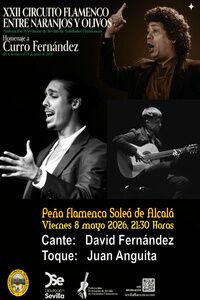 Circuito flamenco Entre Naranjos y Olivos