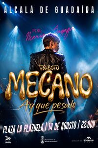 Tributo a Mecano