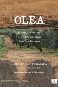 Exposición OLEA en el Museo de la ciudad