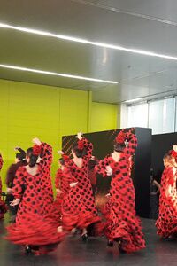 Espectáculo flamenco `Entrelunares´ en San Miguel con causa solidaria