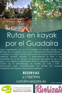 Rutas en Kayak por el río Guadaíra