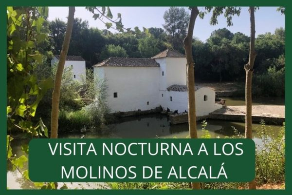 Visita nocturna a los molinos de Alcalá bajo la luna llena