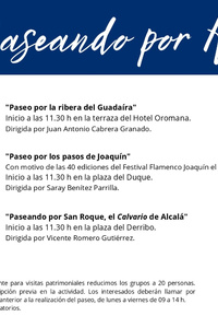 Edición XIX del programa Paseando por Alcalá