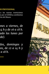 Horario provisional del Museo de Alcalá