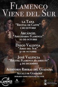 Ciclo Flamenco Viene del Sur