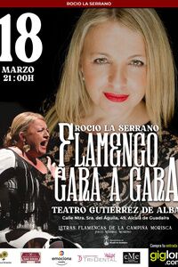 Flamenco Cara a Cara con la artista Rocío la Serrano