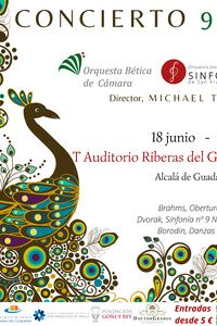 Concierto de la Orquesta Bética de Cámara en el Auditorio