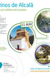 Visita guiada a los Molinos de Alcalá