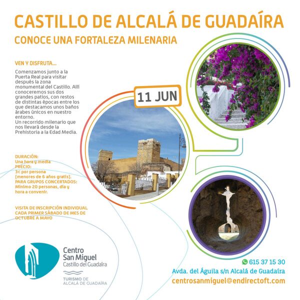 Visita guiada al Castillo de Alcalá