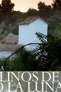 Visita nocturna a los Molinos de Alcalá