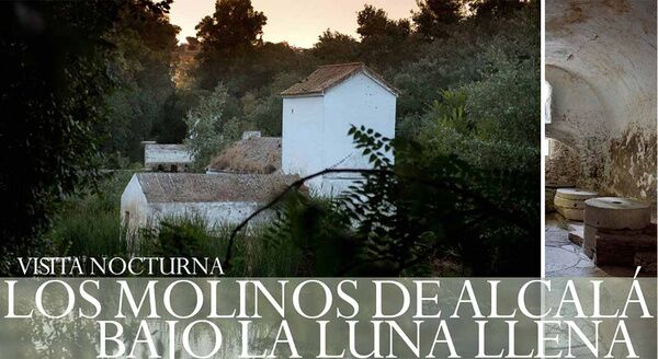 Visita nocturna a los Molinos de Alcalá