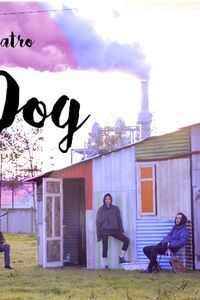 Cal y Canto teatro presenta Lost Dog