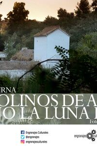 Los Molinos de Alcalá bajo la luna llena
