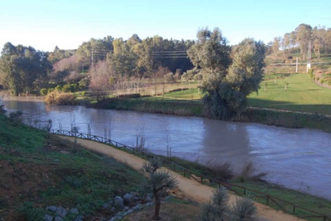 EL AYUNTAMIENTO DENUNCIA UN VERTIDO AL GUADAÍRA Y TRABAJA PARA QUE NO QUEDE IMPUNE