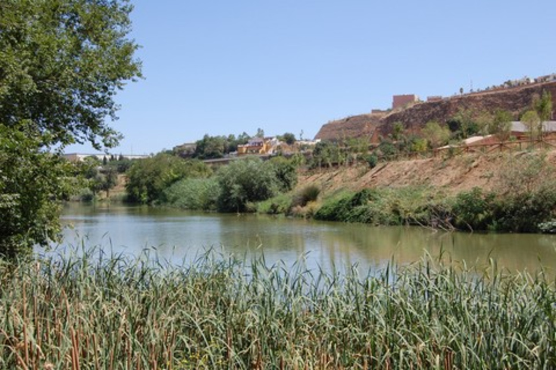 EL AYUNTAMIENTO DE ALCALÁ SE PERSONARÁ EN LAS DILIGENCIAS POR LOS VERTIDOS A LOS ARROYOS DE MORÓN QUE AFECTAN AL GUADAÍRA