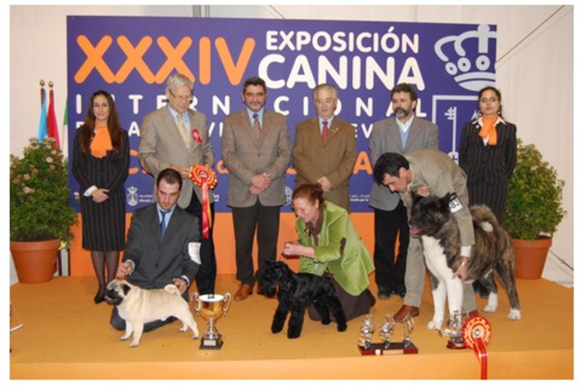 EL SNAUCER MINIATURA SE HACE CON EL PREMIO AL MEJOR EJEMPLAR INTERNACIONAL CANINO 2010