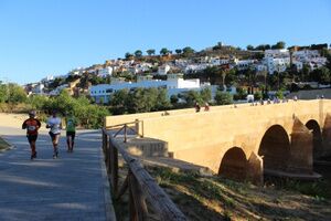 55 KILÓMETROS HAN CORRIDO ESTE DOMINGO LOS PARTICIPANTES EN LA I TRAIL ALCALÁ PANADERA
