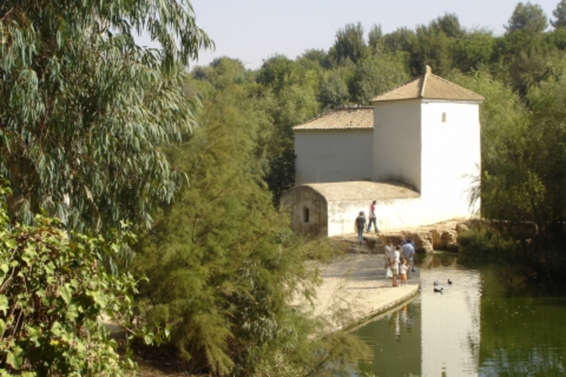 EL AYUNTAMIENTO INICIA LA LIMPIEZA DE LOS MOLINOS HARINEROS CON EL FINAL DE LA ÉPOCA DE LLUVIAS