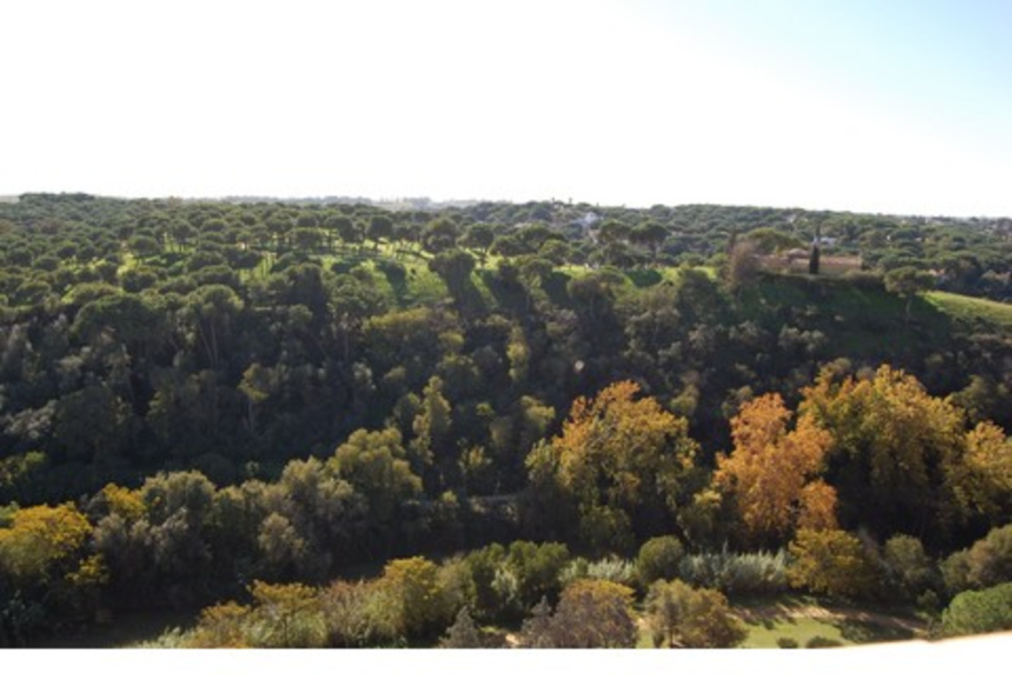 HOY SE INICIAN LOS TRÁMITES PARA LA DECLARACIÓN DE MONUMENTO NATURAL DE LAS RIBERAS DEL GUADAÍRA